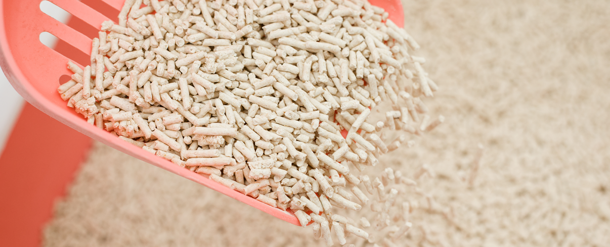 1636542011211150.png 貓砂圖片.png